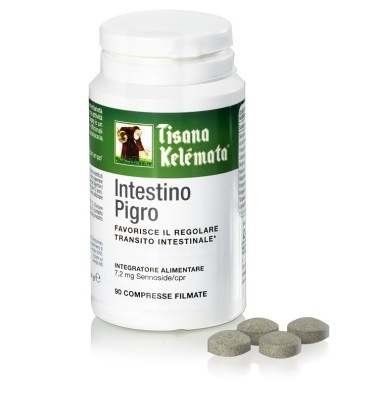 TISANA INTESTINO PIGRO 90CPR