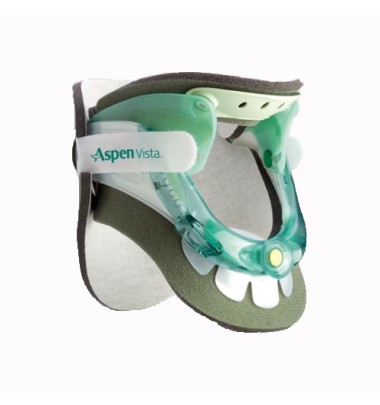 FGP Coll.Cerv.Biv.Vista