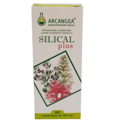SILICAL PLUS 60CPR