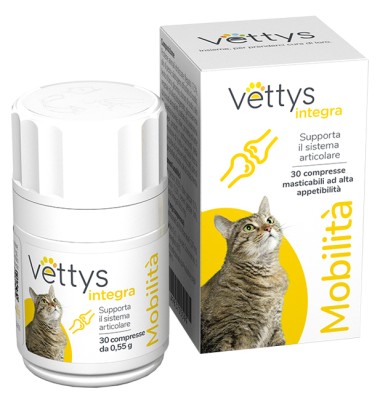 VETTYS Integra Mobilita'Gatto