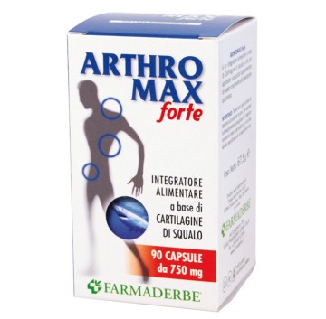 ARTHROMAX FORTE 90CPS