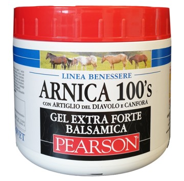 ARNICA 100 S EXTRA FORTE BALSA
