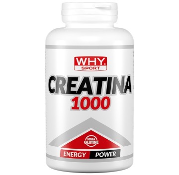 WHYSPORT CREATINA 1000 240CPR