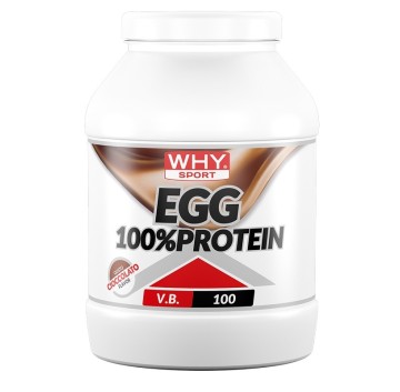 WHYSPORT EGG 100% PROTEIN CIOC