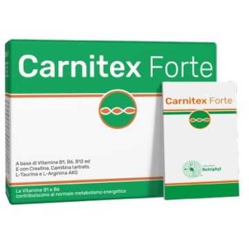 CARNITEX Forte 14 Bust.
