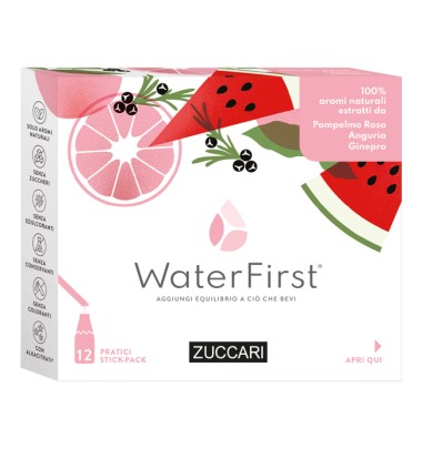 WATERFIRST POMPEL ANG GIN12STK