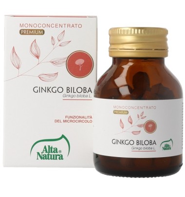 GINKGO BILOBA 100CPR 900MG