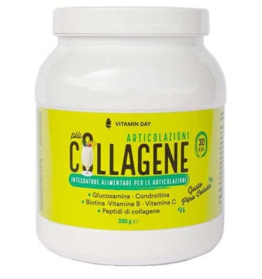 VITAMIN DAY Collagene Articol.