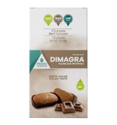 DIMAGRA PLUMCAKE CIOCCOLATO