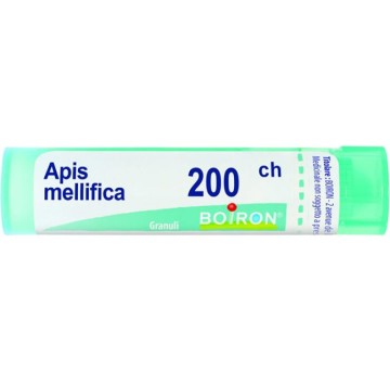 APIS MELLIFICA 200CH GL BO