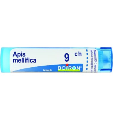 APIS MELLIFICA 9CH GR BO