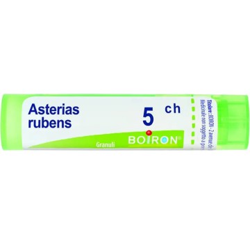 ASTERIAS RUBENS 5CH GR