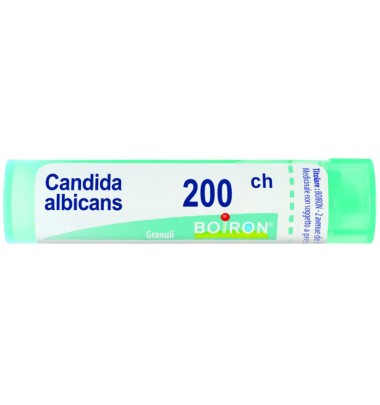 CANDIDA ALBICANS 200CH GR BO