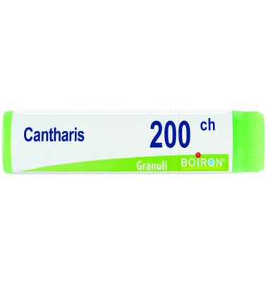 CANTHARIS 200CH GL *BO*