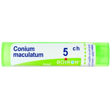 CONIUM MACULATU 5CH GR BO