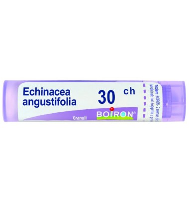 ECHINACEA ANGUSTIFOL 30CH GR BO