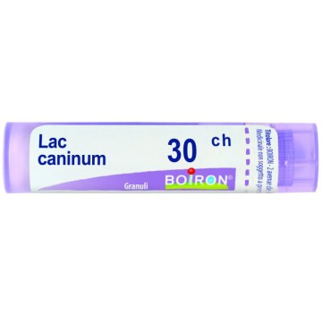 LAC CANINUM 30CH GR BO