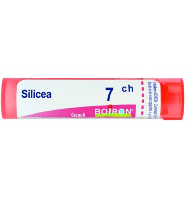 SILICEA 7CH GR BO