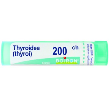 THYROIDINUM 200CH GR