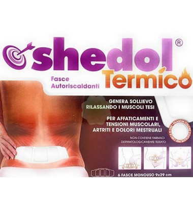 SHEDOL TERMICO CER 6PZ