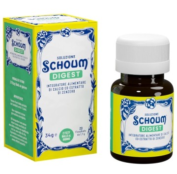 SOLUZIONE SCHOUM DIGEST 20FIZZ