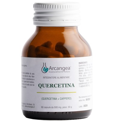 QUERCETINA 60CPS 500MG ARCA