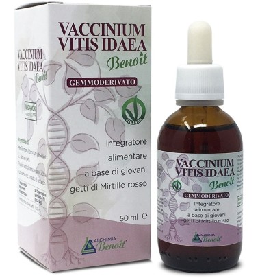 VACCINIUM VITIS IDAEA GEMM50ML