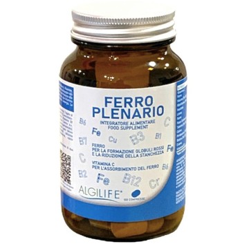 FERRO PLENARIO 100 Tav.