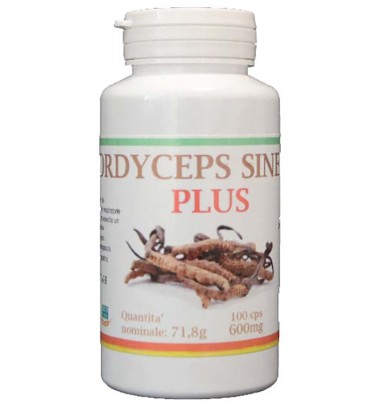 CORDYCEPS PLUS 100CPS