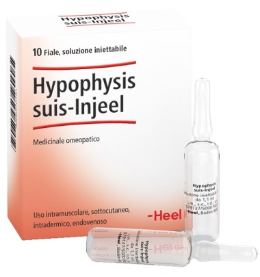 HYPOPHYSIS SUIS INJEEL HEEL