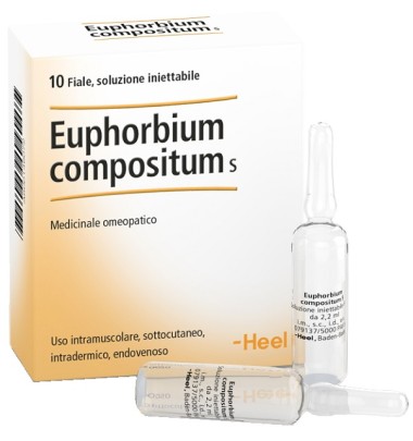 EUPHORBIUM COMP 10FL  HEEL