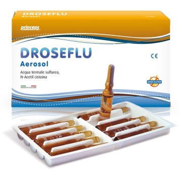 DROSEFLU Aerosol 10f.2ml