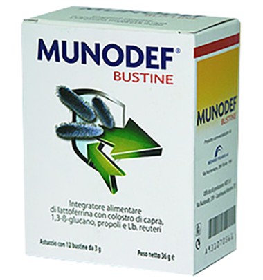 MUNODEF 12 BUSTINE