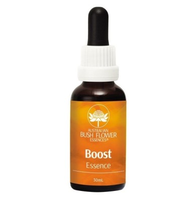 BOOST 30ml NATUR