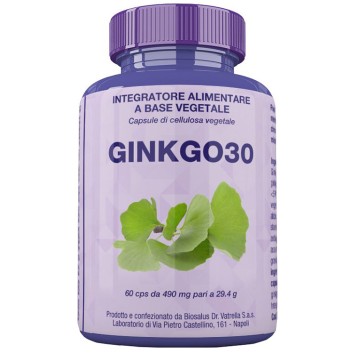 GINKGO30 60CPS 27G