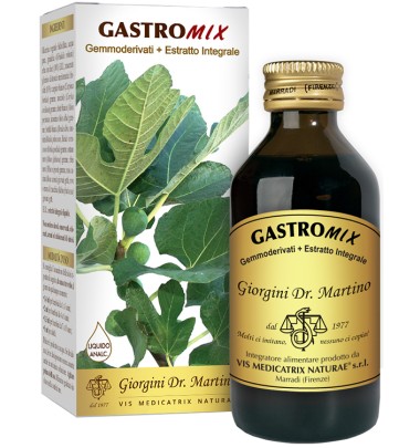 GASTROMIX LIQUIDO ANALC 100ML