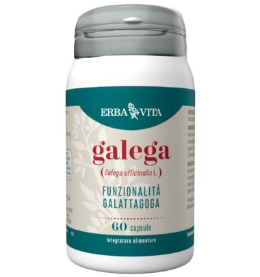 GALEGA 60CPS EBV