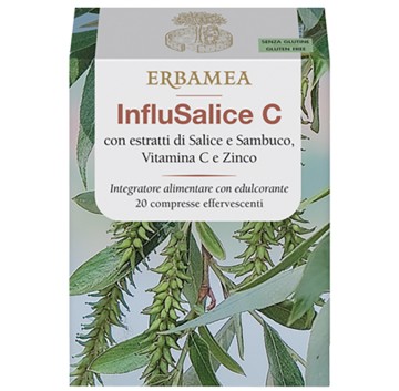 INFLUSALICE C 20CPR