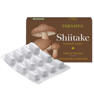 SHITAKE 24CPS VEGETALI ERBAMEA