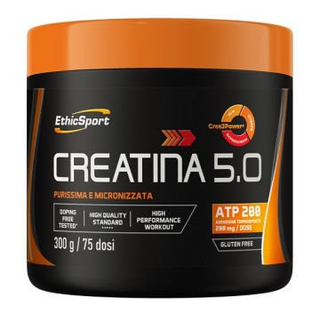CREATINA 5.0 300G