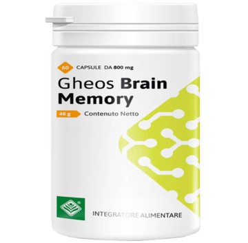 GHEOS BRAIN MEMORY 60CPS