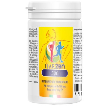 HARZEN-500 INTEG 40CPR 500MG