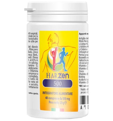 HARZEN-500 INTEG 40CPR 500MG