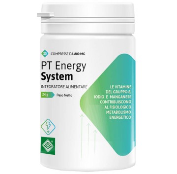 PT ENERGY SYSTEM 30CPR 24G