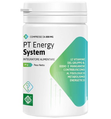 PT ENERGY SYSTEM 30CPR 24G