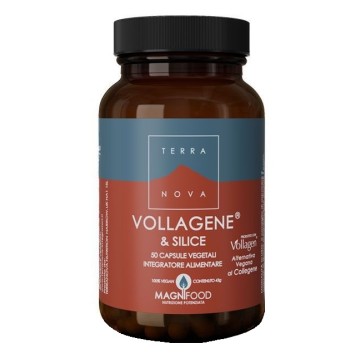 TERRANOVA VOLLAGENE&SILIC50CPS