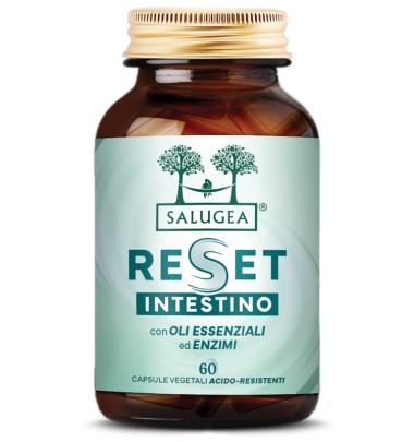 RESET INTESTINO SALUGEA 60CPS