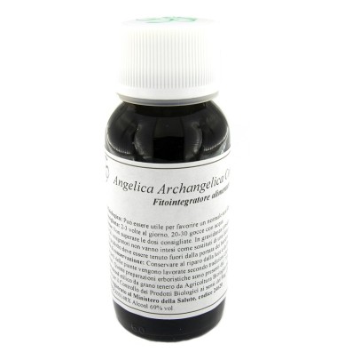 06N ANGELICA ARCHANGEL COMP LSV