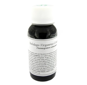 07N SOLIDAGO VIRG COMP 60ML LVS