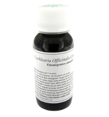 11N COCHLEARIA OFF COMP LVS